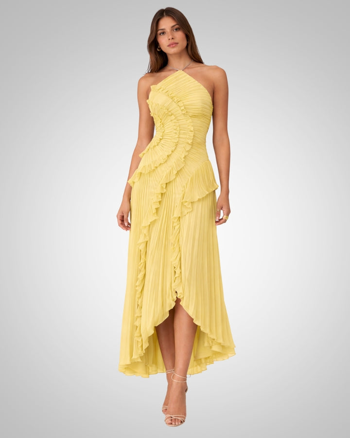 Quinn | Damen Rückenfreies Neckholder Hochzeitsgäst Maxikleid
